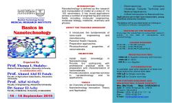 Basics in Nanotechnology Workshop 